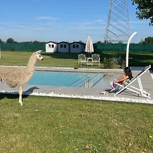 Bed & Breakfast Iris, Modena